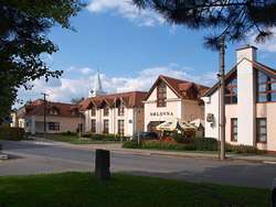 Telnice, Vesnice roku 1995, s novou Orlovnou