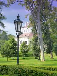 Zámecký park Ostrov – pěstební opatření a nové výsadby
