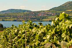 Šakvice – Vesnice roku 2013 v Jihomoravském kraji