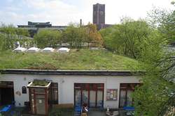 Extenzivní vegetační střecha, UFA Fabrik, Berlin