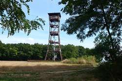Rozhledna byla vybudována v r. 2009 na vrcholu kopce Nedánov u turistické cesty vedoucí k rezervaci Velký Kuntínov